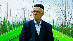 از میان این مسیر سبز