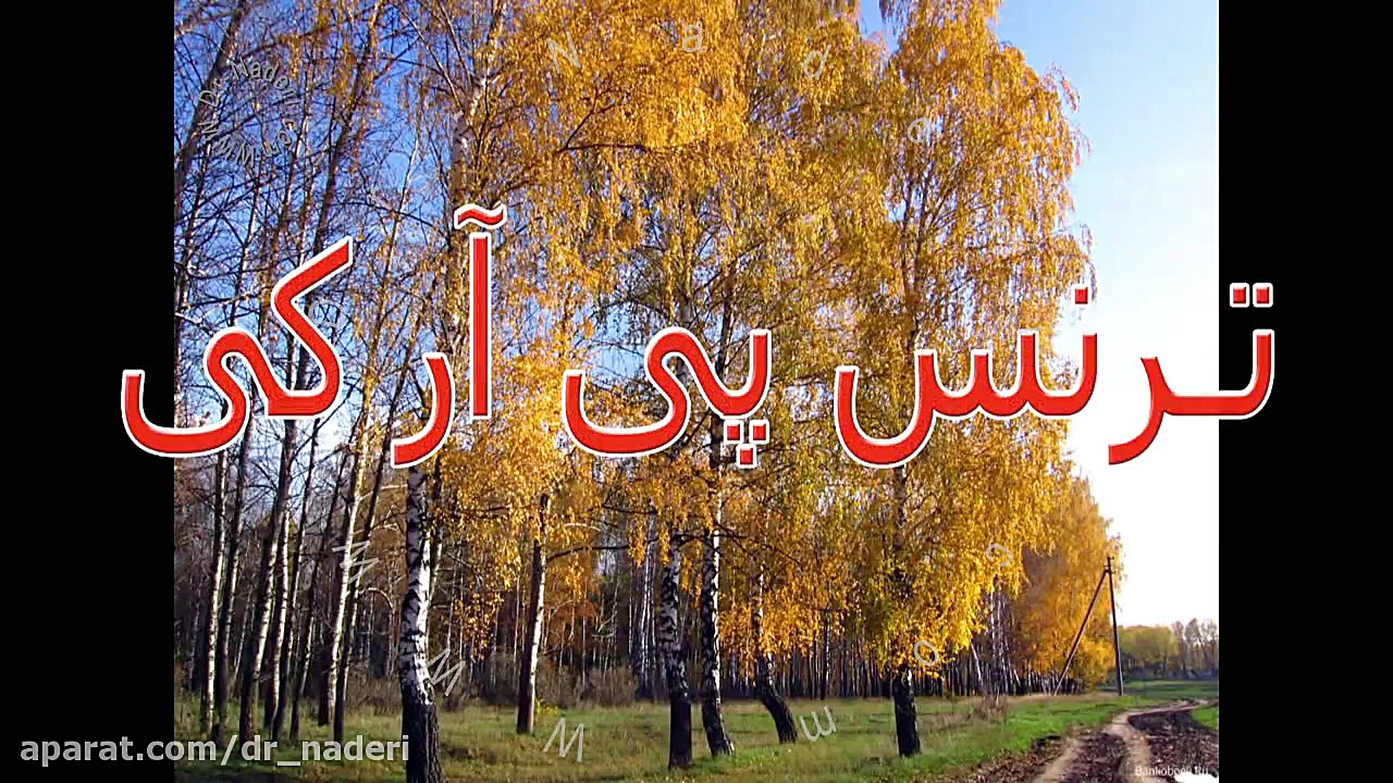 ترانس پی آر کی Trans PRK - مرکز چشم پزشکی دکتر علیرضا نادری مرکز چشم پزشکی دکتر علیرضا نادری www.dr-naderi.com