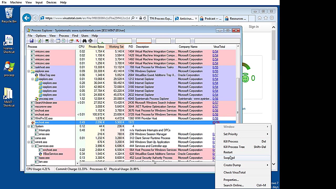 Scan for Malware Using Process Explorer and Virus Total RNA Interference Assay