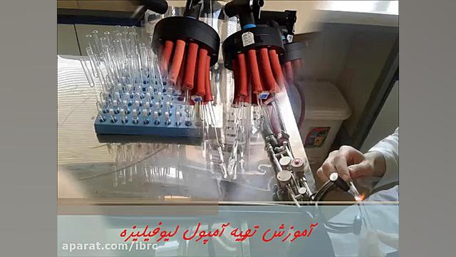 فرایند تهیه آمپول لیوفیلیزه برای نگهداری میکروارگانیسمها برداشتن توده
