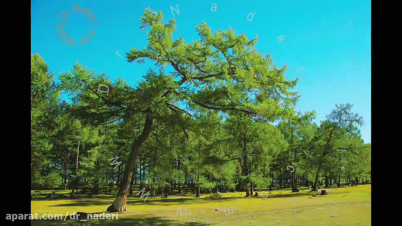 عنبیه - مرکز چشم پزشکی دکتر علیرضا نادری مرکز چشم پزشکی دکتر علیرضا نادری www.dr-naderi.com