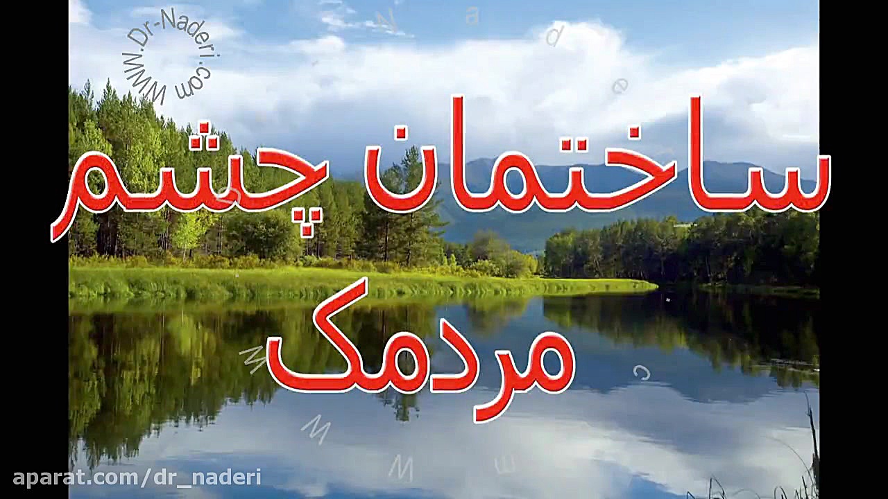 مردمک چشم - مرکزچشم پزشکی دکتر علیرضانادری مرکز چشم پزشکی دکتر علیرضا نادری www.dr-naderi.com