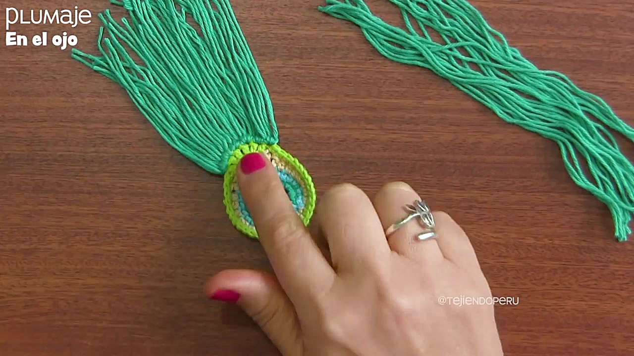Plumas de Pavo real REVERSIBLES a crochet y macramé Single Molecule Real Time Sequencing