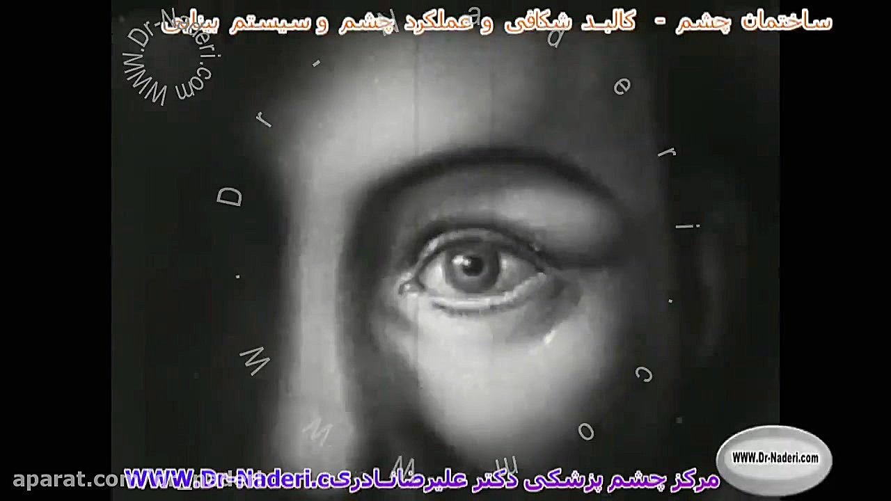 آناتومی کامل کره چشم و سیستم بینایی - مرکز چشم پزشکی دکتر علیرضا نادری مرکز چشم پزشکی دکتر علیرضا نادری www.dr-naderi.com