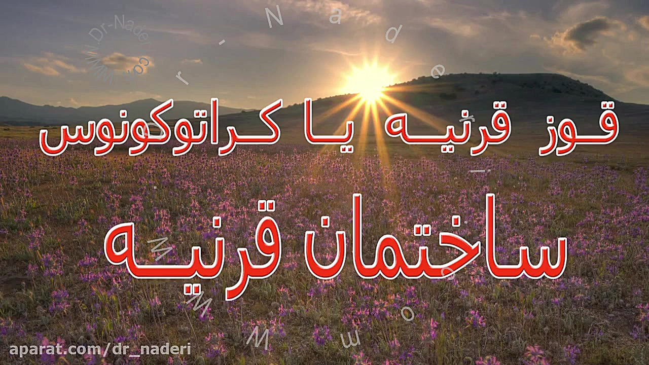 ساختمان چشم - قرنیه - مرکز چشم پزشکی دکتر علیرضا نادری مرکز چشم پزشکی دکتر علیرضا نادری www.dr-naderi.com