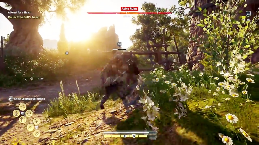 ASSASSIN