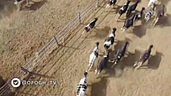 مستند دیده شو || قسمت 7 || کیم...