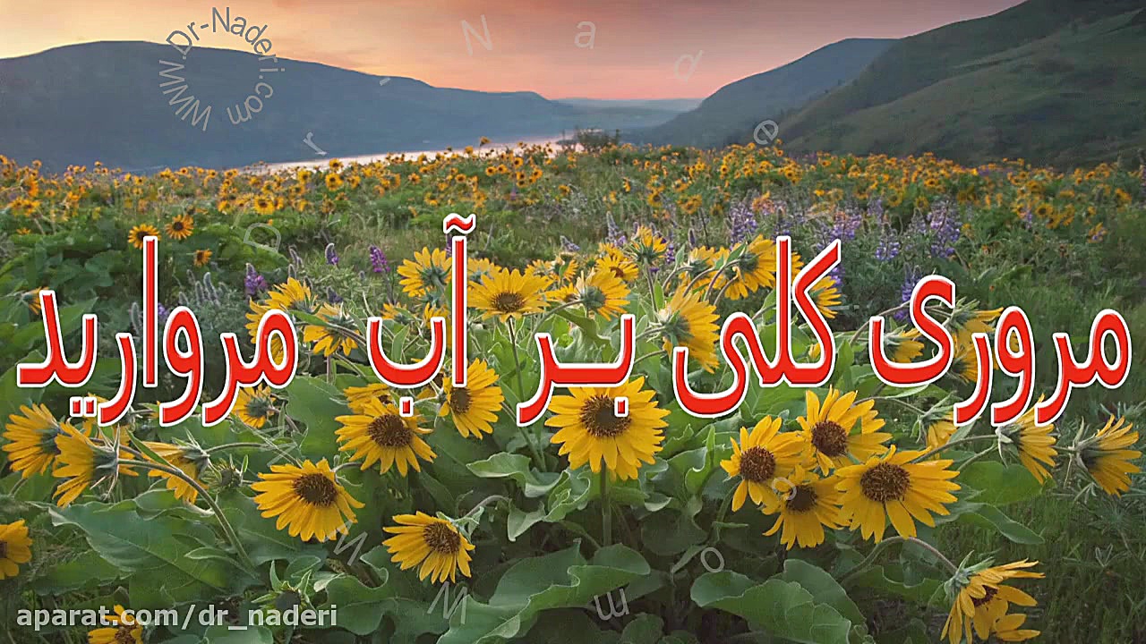 مروری کلی بر آب مروارید - مرکز چشم پزشکی دکتر علیرضا نادری مرکز چشم پزشکی دکتر علیرضا نادری www.dr-naderi.com
