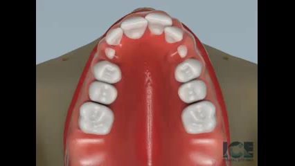 Quad Helix دکتر سهیل سالاری