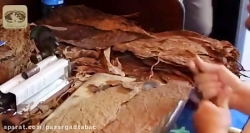 &lrm;دنیای سیگاربرگ ناشناخته د...