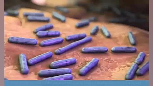 آشنایی با ساختار DNA و نحوه همانندسازی آن کاشت مو