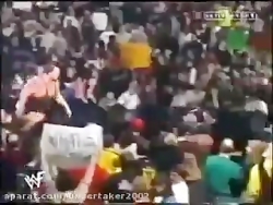 کشتی کج اندر تیکر بیگ شو