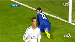 گل حساس و زیبای راموس به اتلتی...