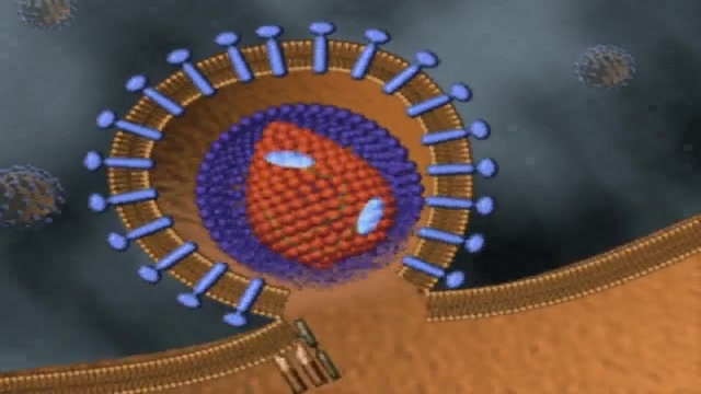 HIV (ایدز-رترو ویروس) کاشت مو