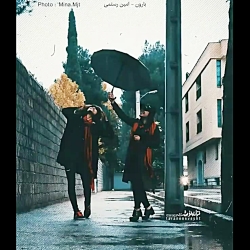 موسیقی موسیقی