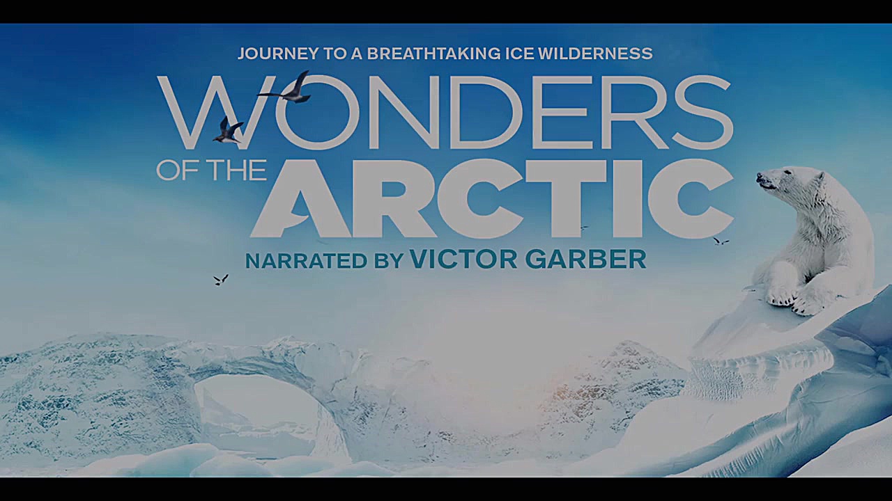 تریلر مستند Wonders of the Arctic 2014 با کیفیت 4k زمان114ثانیه