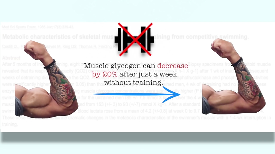 How Quickly Do You Lose Muscle When You Stop Wo