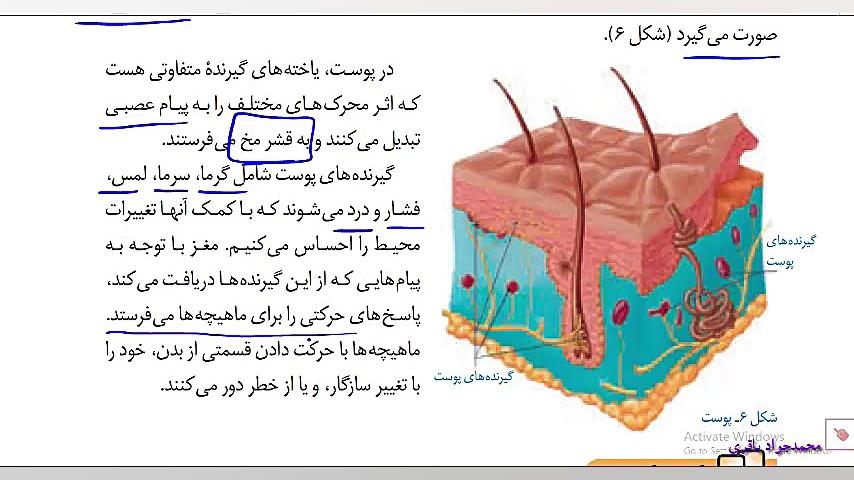 علوم هشتم فصل 5 حس و حرکت بخش 2 اندام های چشایی شنوایی بویای و پوست لیزر صورت