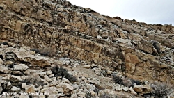 عسل کوهی طبیعی ،فیلم مستند جست...