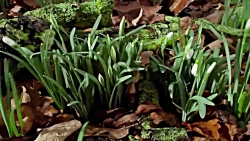 تلخ و شیرین زندگی