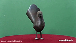 مجسمه گنجشک ساده