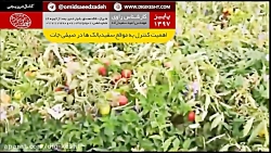 اهمیت تشخیص و مبارزه به موقع ب...