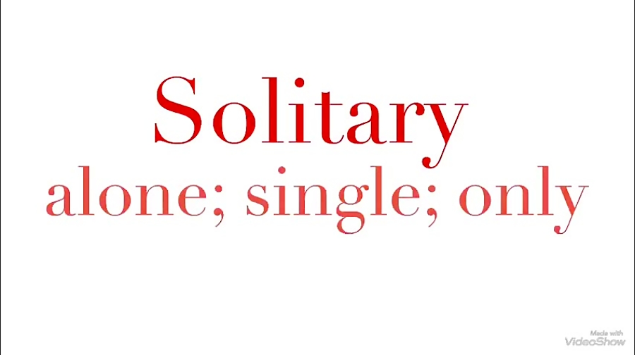 504 Essential Words with movie - Lesson 11 - Solitary meaning