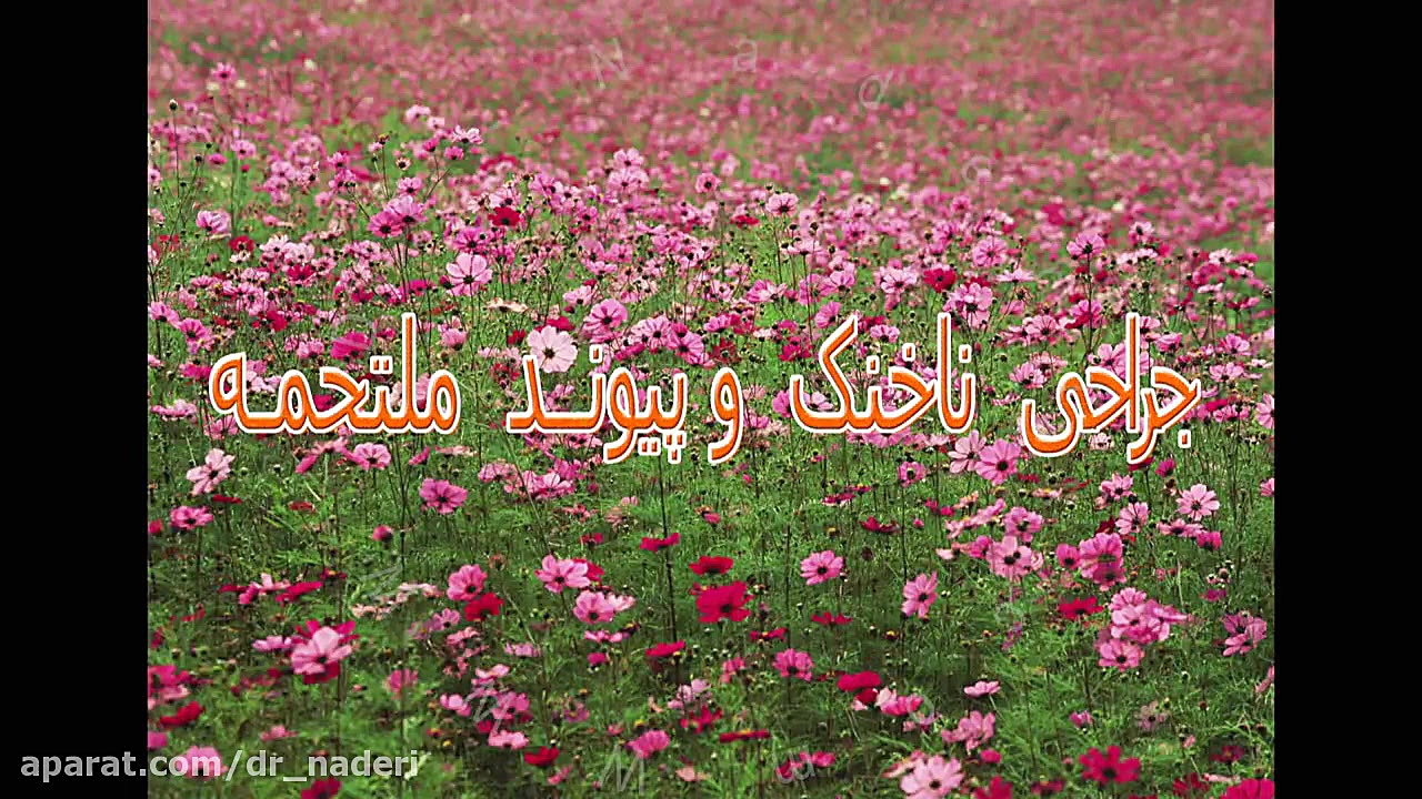 جراحی ناخنک - مرکز چشم پزشکی دکتر علیرضا نادری مرکز چشم پزشکی دکتر علیرضا نادری www.dr-naderi.com