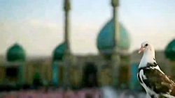 کلیپ شاد امام زمان با آهنگ تمام نا تمام