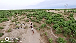 من می مانم || مستند