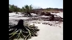 کشف جالب پری دریایی!!