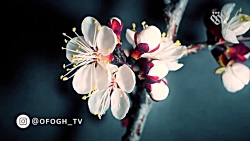 حلول ماه ربیع الاول || کار کوت...