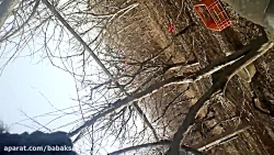 ارومیه باغ قره