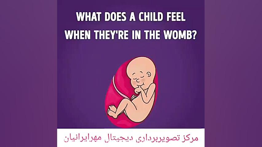 احساسات جنین در داخل رحم فیسبوک
