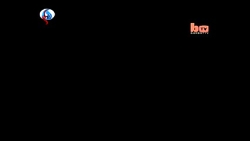 دوستی مرد 73ساله با 20خرس قوی...