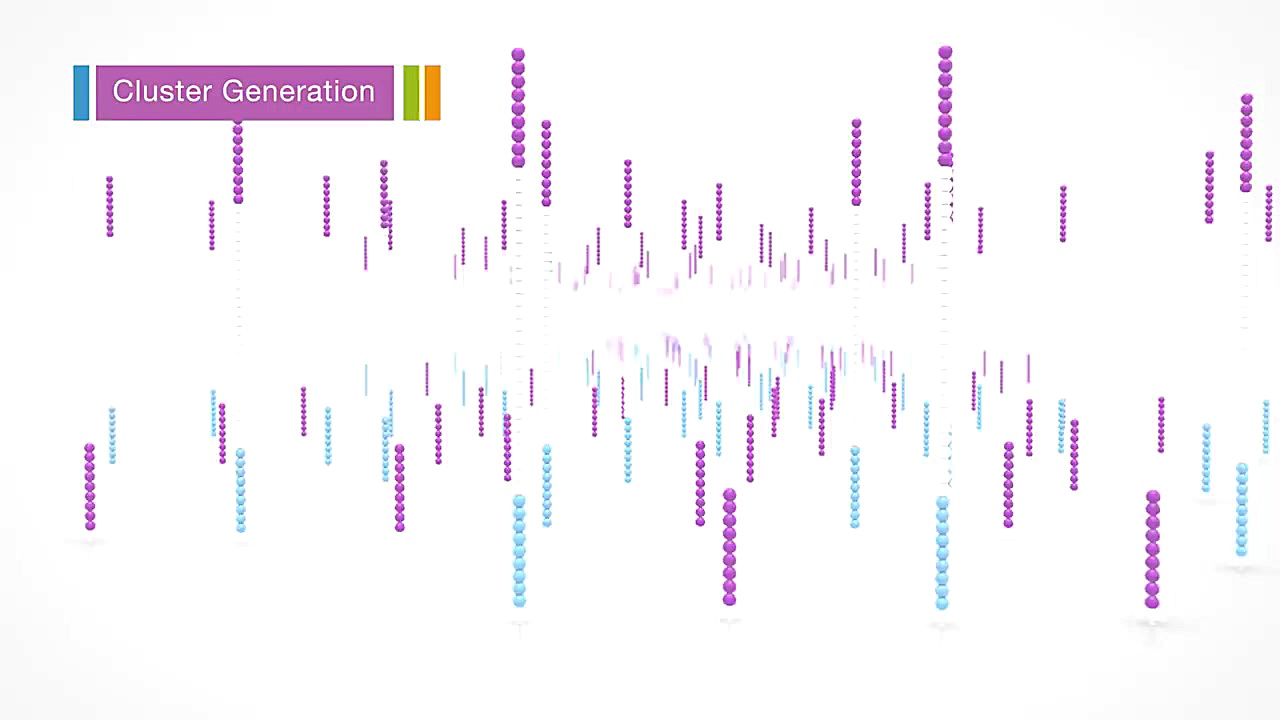 Illumina Sequencing by Synthesis گیم لولو