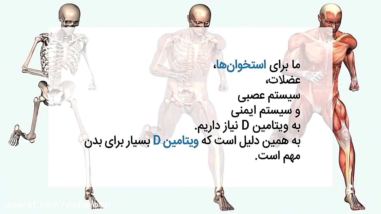 ویتامین D، فواید و مشکلات کمبود آن در بدن اینسایزینگ