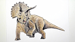 How to Draw Triceratops - Draw...