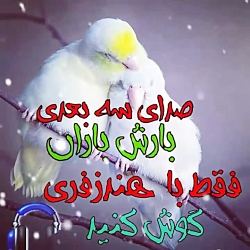 صدای سه بعدی بارش باران