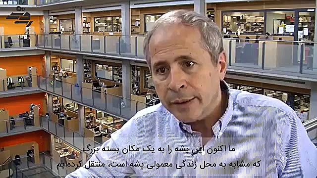 دستکاری ژنتیکی پشه ها جهت مبارزه با مالاریا جرمگیری