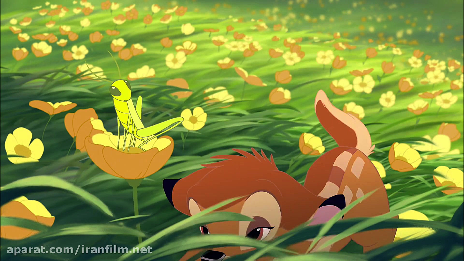دانلود انیمیشن بامبی 2 Bambi II 2006 دوبله فارسی زمان4411ثانیه
