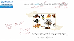 ویدیو حل تمرین درس 3 عربی یازدهم بخش 2