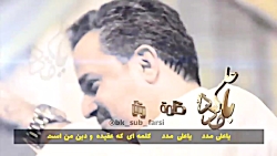 یاعلی مدد تسبیحة القصیدة (میلا...