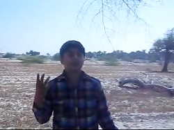 قورباغه سفید