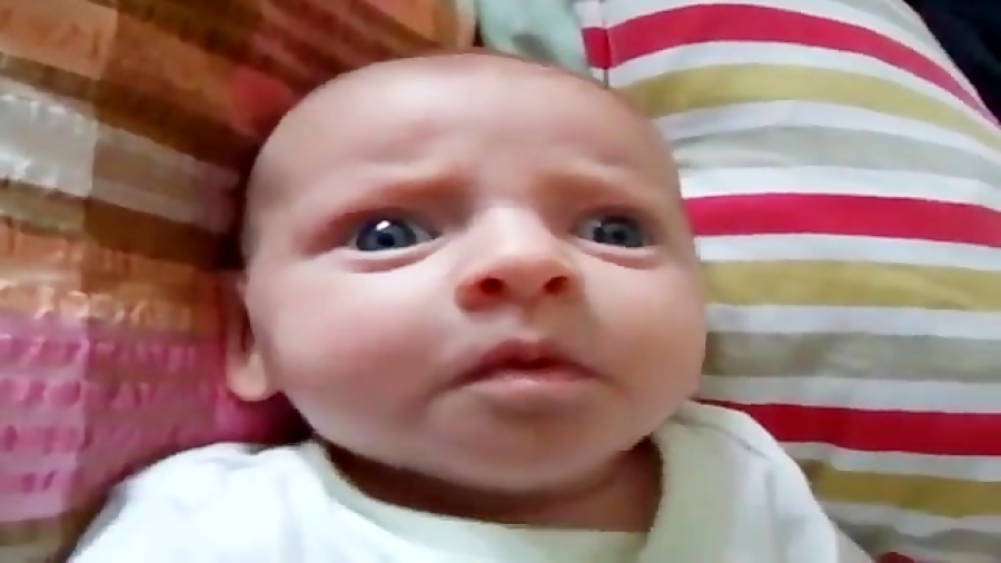 نی نی