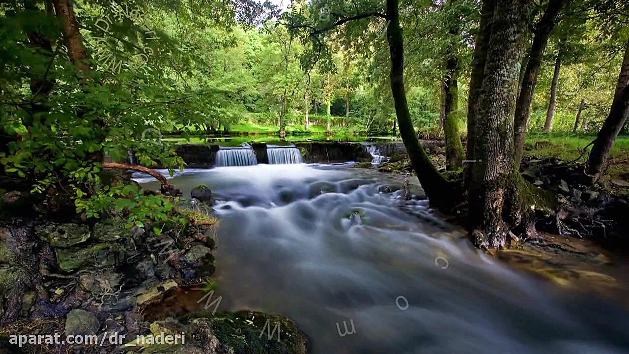 بیماری های شبکیه - مرکزچشم پزشکی دکتر علیرضا نادری مرکز چشم پزشکی دکتر علیرضا نادری www.dr-naderi.com