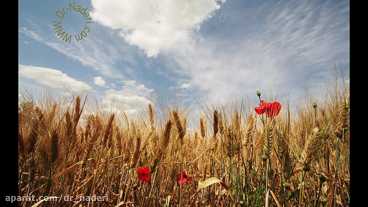 خال مشیمیه (کوروئید)- مرکزچشم پزشکی دکتر علیرضا نادری مرکز چشم پزشکی دکتر علیرضا نادری www.dr-naderi.com
