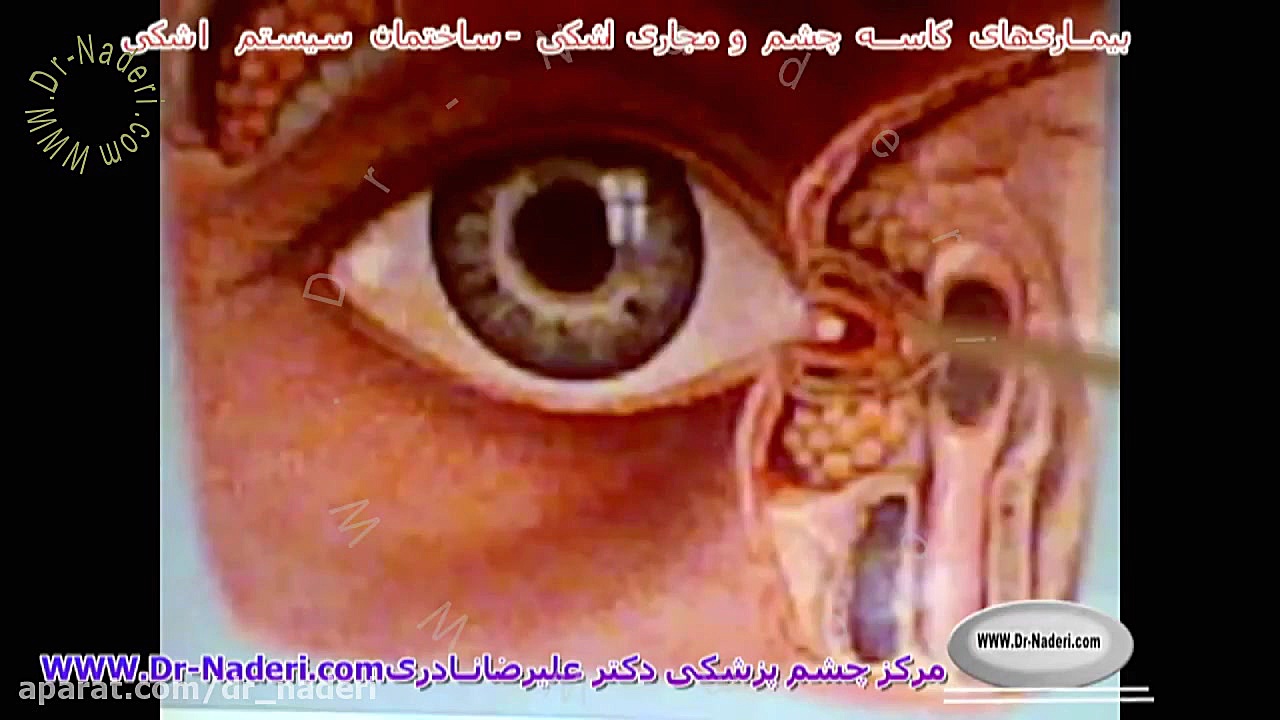 ساختمان سیستم اشکی - مرکز چشم پزشکی دکتر نادری مرکز چشم پزشکی دکتر علیرضا نادری www.dr-naderi.com
