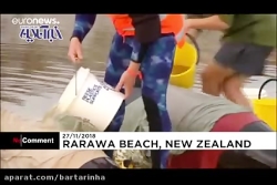 تلاش برای نجات نهنگ ها از خودک...