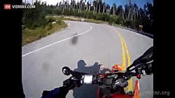 تصادف موتورسوار با گوزن در جاد...